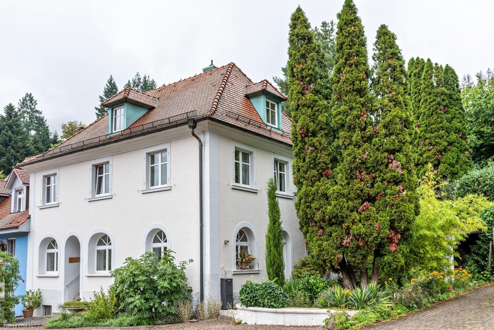 Appartement Waldhorn Баденвайлер Экстерьер фото